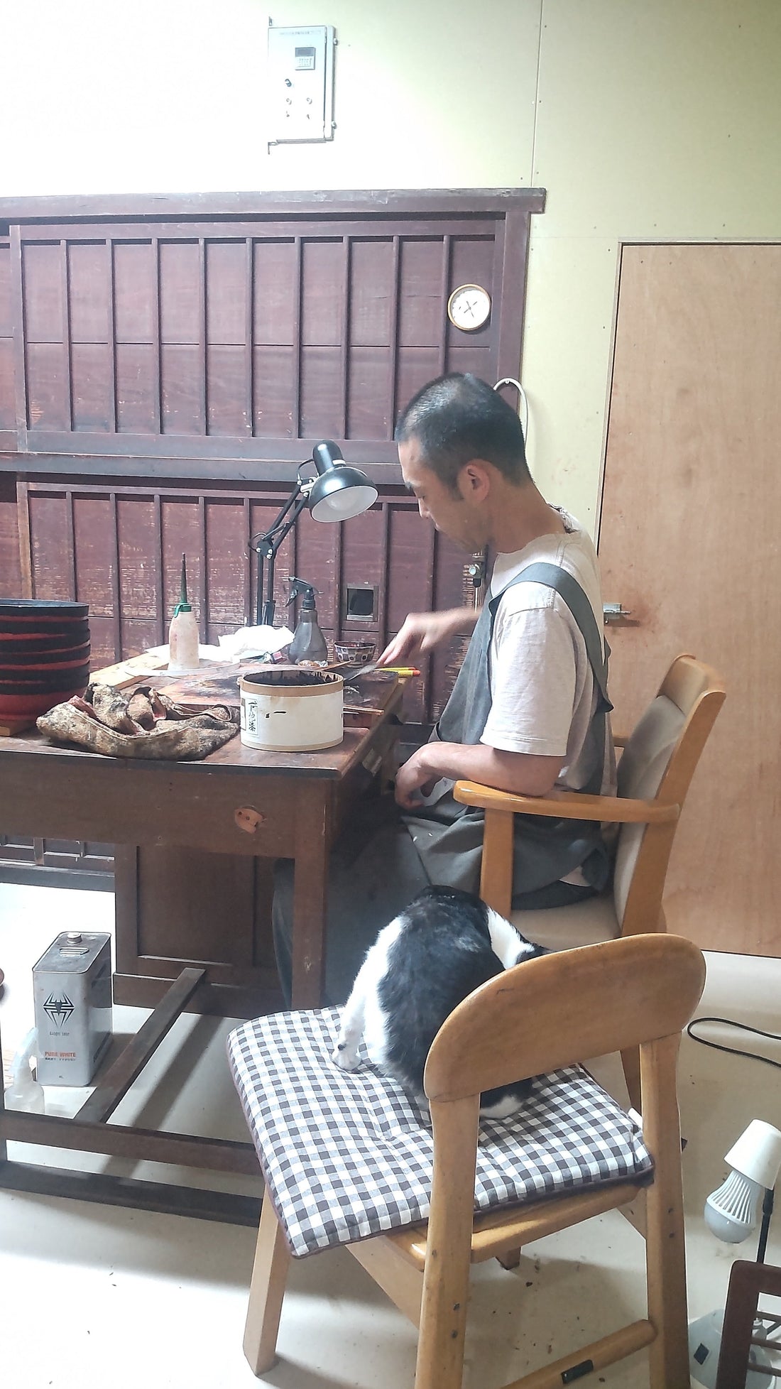 猫を入れて良いのかな